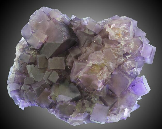 Purple Cubic Fluorite - Cave-In-Rock, Illinois #31394